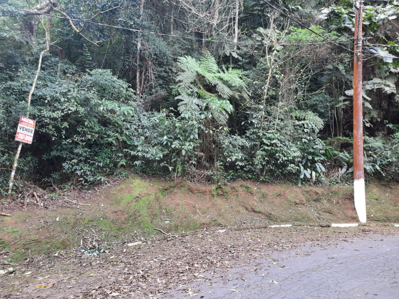 Terreno à venda Parque Suica com 3000m² e 1 quarto por R$ 300.000 - 1276964787-img-20230809-wa0008.jpg