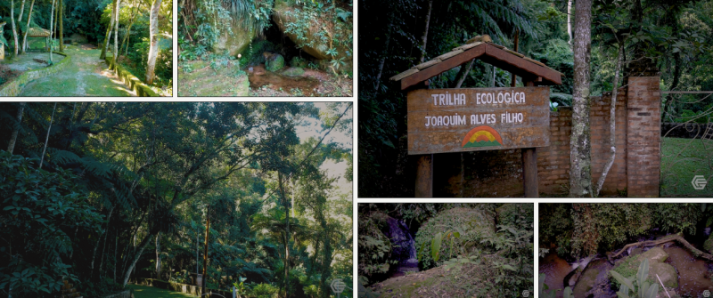 Terreno à venda Parque Suica com 3000m² e 1 quarto por R$ 300.000 - 1650852296-trilhas.png