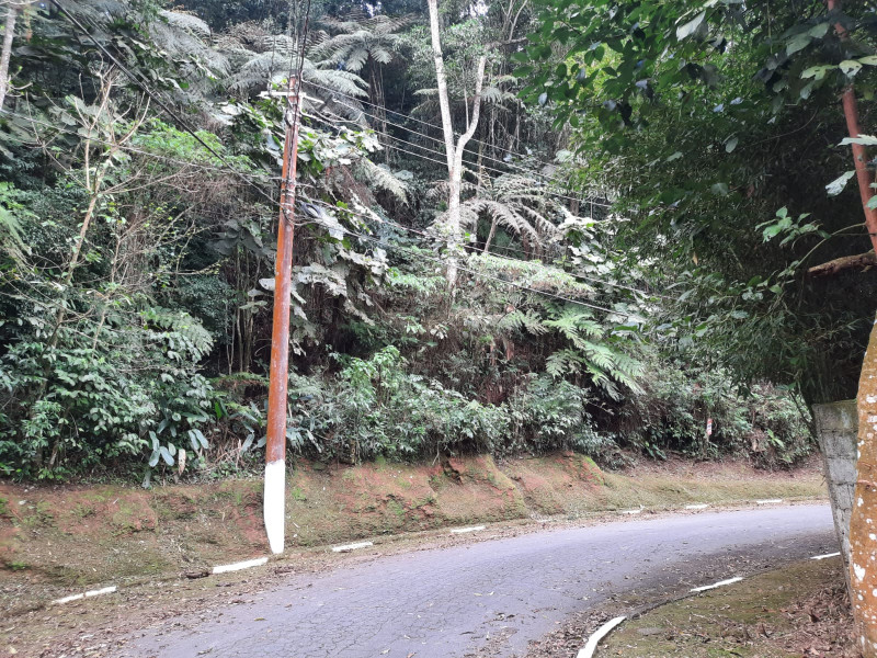 Terreno à venda Parque Suica com 3000m² e 1 quarto por R$ 300.000 - 192729470-img-20230809-wa0010.jpg