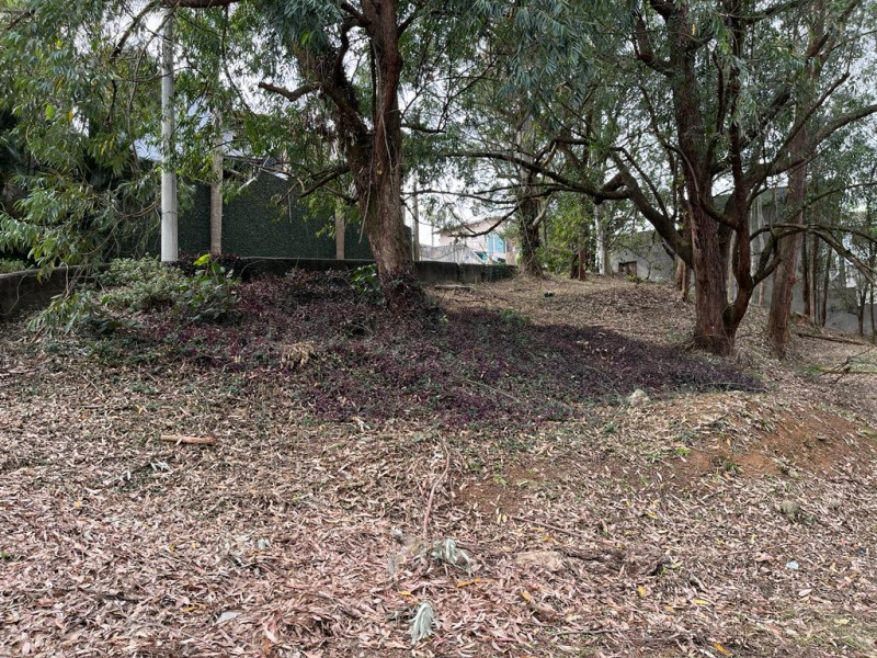 Terreno à venda Parque dos Príncipes com 602m² e 1 quarto por R$ 600.000 - 2139662719-terreno7.jpg