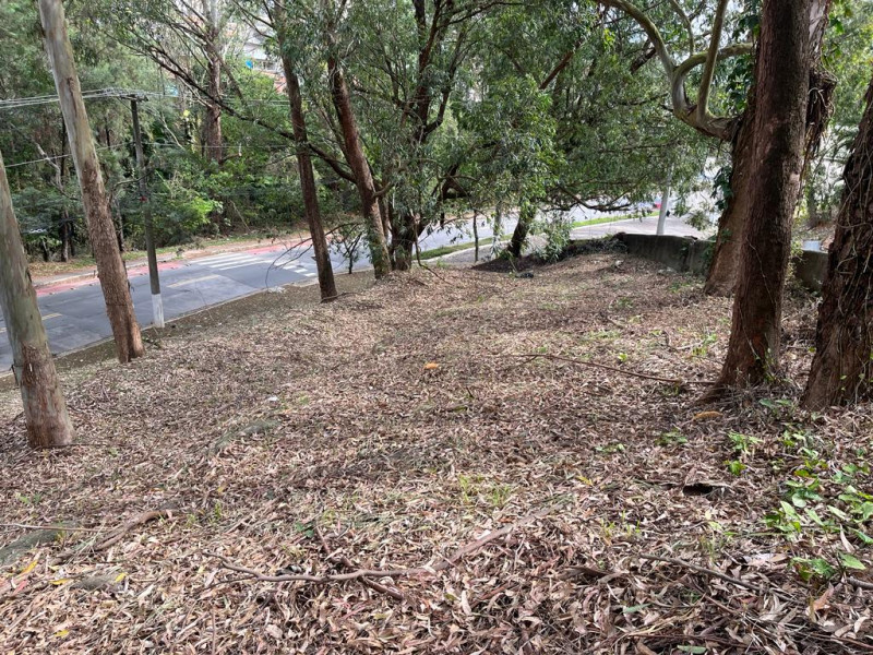 Terreno à venda Parque dos Príncipes com 602m² e 1 quarto por R$ 600.000 - 223577805-terreno16.jpg