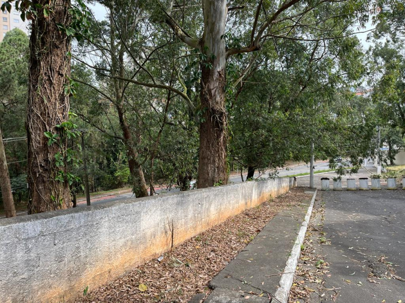 Terreno à venda Parque dos Príncipes com 602m² e 1 quarto por R$ 600.000 - 288400745-terreno18.jpg