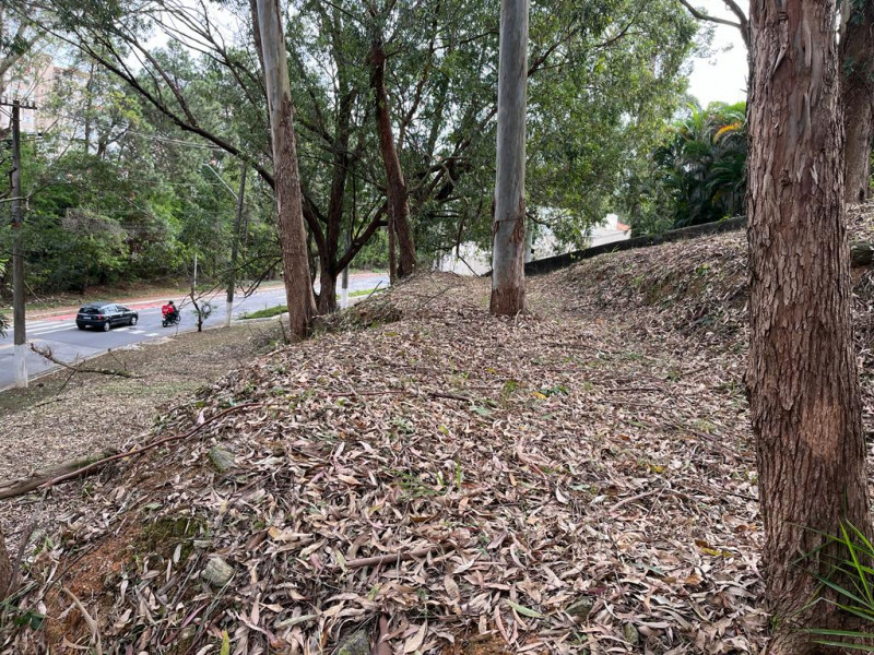 Terreno à venda Parque dos Príncipes com 602m² e 1 quarto por R$ 600.000 - 369393999-terreno13.jpg