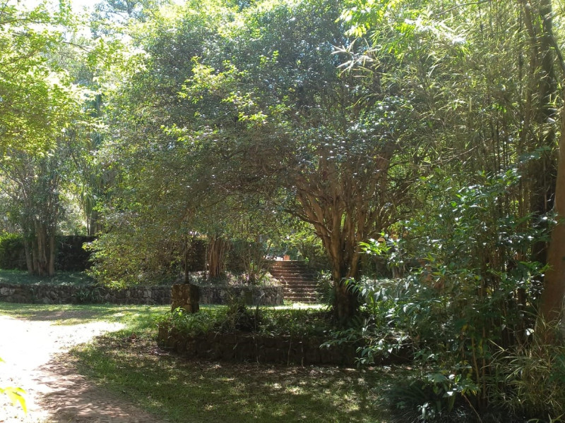 Sítio à venda Centro com 115000m² e 16 quartos por R$ 2.750.000 - 31-caminhos-7.jpg