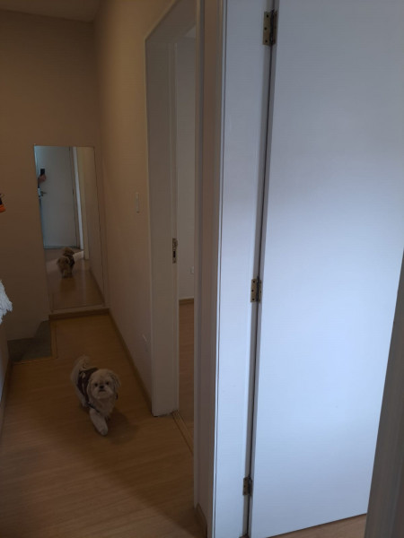 Casa de condomínio à venda Vila Lavinia com 97m² e 2 quartos por R$ 350.000 - 1947890167-whatsapp-image-2023-10-22-at-12.jpeg