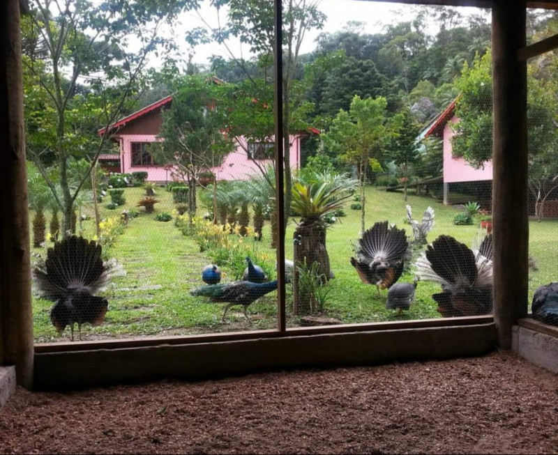 Chácara à venda Mury com 1725m² e 4 quartos por R$ 1.350.000 - 1955167581-whatsapp-image-2023-05-30-at-11.jpg