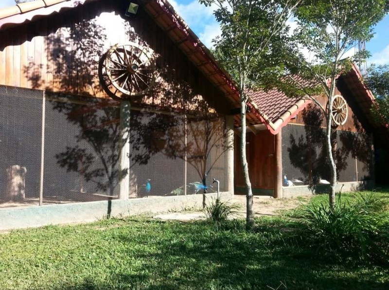 Chácara à venda Mury com 1725m² e 4 quartos por R$ 1.350.000 - 328893820-whatsapp-image-2023-05-30-at-11.jpg