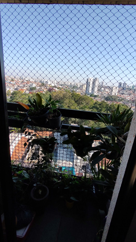 Apartamento à venda Vila Carbone com 64m² e 3 quartos por R$ 420.000 - 1122579739-img-20230802-152311113.jpg