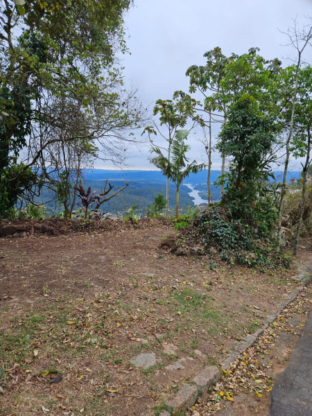 Terreno à venda Morro Grande com 1700m² e 1 quarto por R$ 450.000 - 382464203-whatsapp-image-2023-08-15-at-08.jpeg
