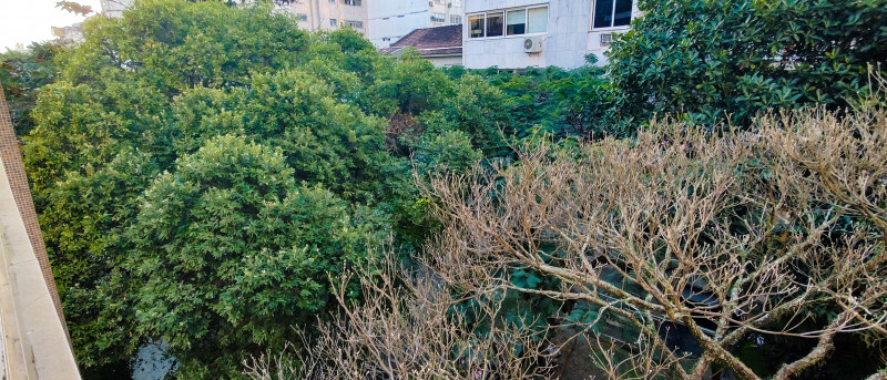 Apartamento à venda Ipanema com 130m² e 4 quartos por R$ 3.000.000 - 291152166-83-arvores2.jpg