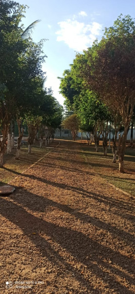 Chácara à venda Setor Recreio Mansões do Campus com 1202m² e 10 quartos por R$ 1.500.000 - 1769144784-img-20230801-wa0004.jpg