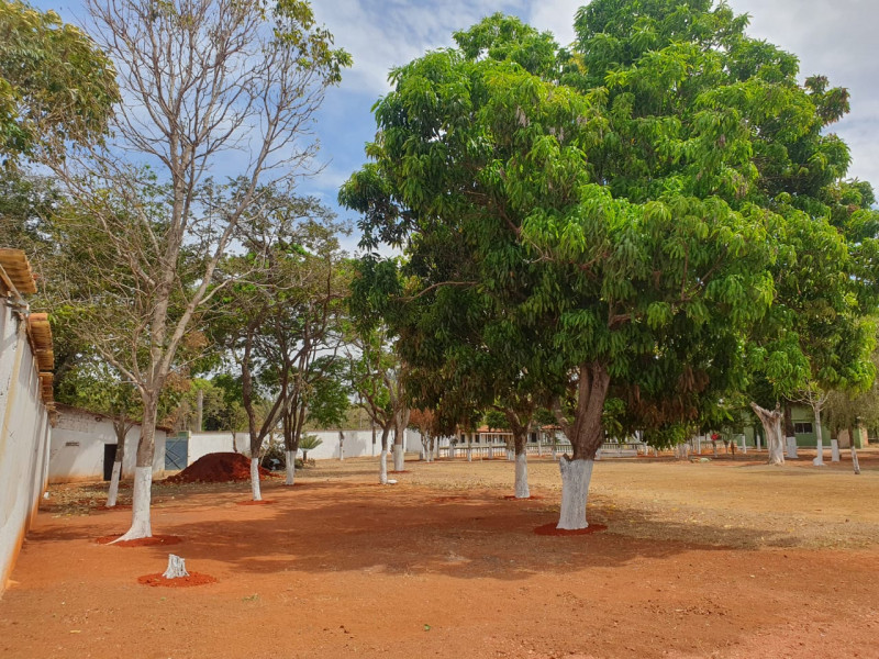 Chácara à venda Setor Recreio Mansões do Campus com 1202m² e 10 quartos por R$ 1.500.000 - 60790571-img-20230816-wa0031.jpg