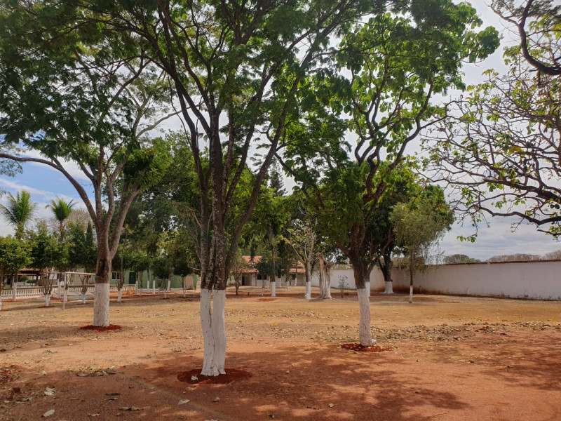 Chácara à venda Setor Recreio Mansões do Campus com 1202m² e 10 quartos por R$ 1.500.000 - 724170218-img-20230816-wa0029.jpg