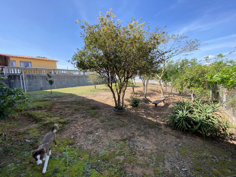 Chácara à venda Maracanã com 1150m² e 3 quartos por R$ 385.000 - 17682262-img-2421.jpeg