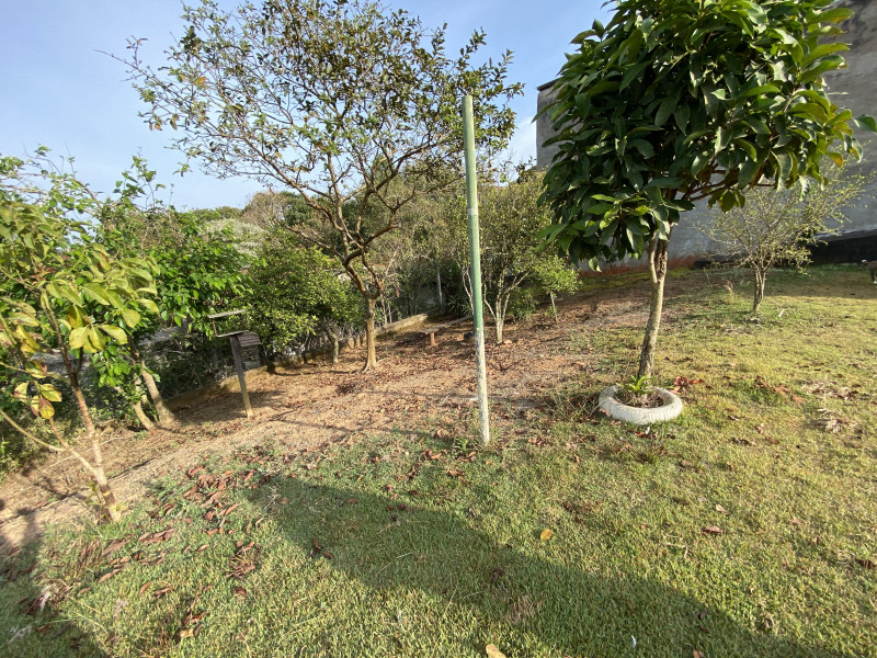 Chácara à venda Maracanã com 1150m² e 3 quartos por R$ 385.000 - 818815771-img-2406.jpeg