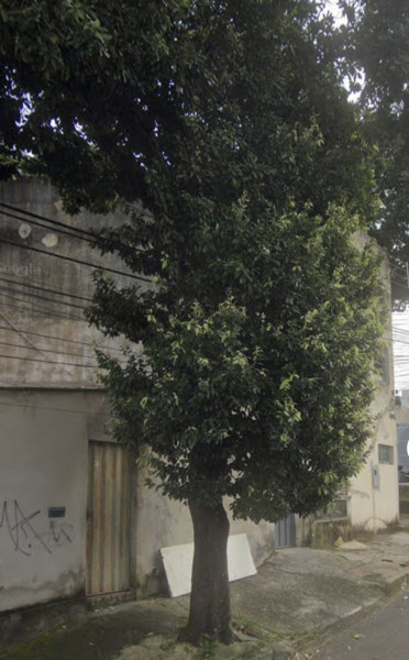 Comercial à venda Floramar com 360m² e 1 quarto por R$ 2.500.000 - 1398846130-img-3874.jpeg