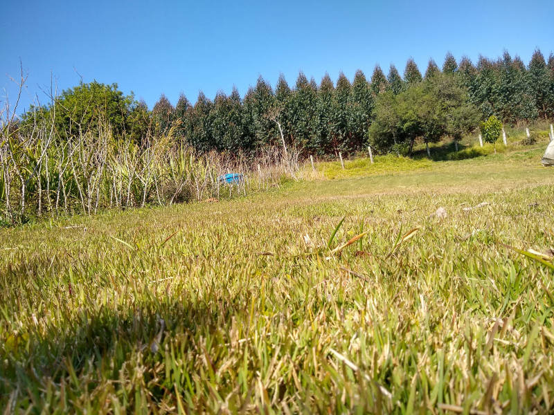 Chácara à venda Centro com 4539m² e 1 quarto por R$ 300.000 - 1201861828-img-20190729-111135665-hdr.jpg