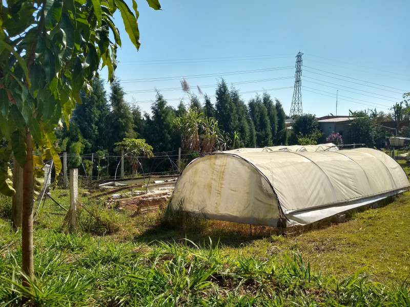 Chácara à venda Centro com 4539m² e 1 quarto por R$ 300.000 - 1356241806-img-20190729-111555265-hdr.jpg