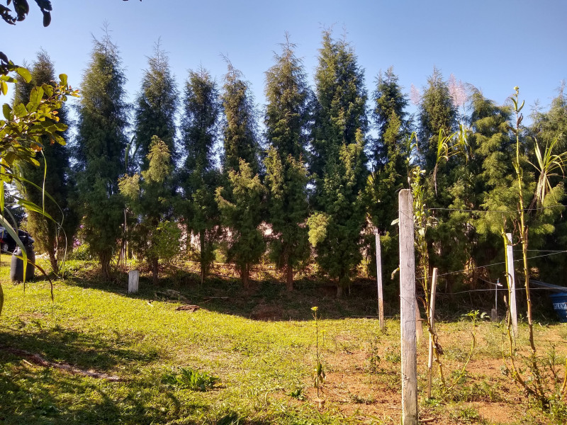 Chácara à venda Centro com 4539m² e 1 quarto por R$ 300.000 - 1577839158-img-20190729-110934474-hdr.jpg