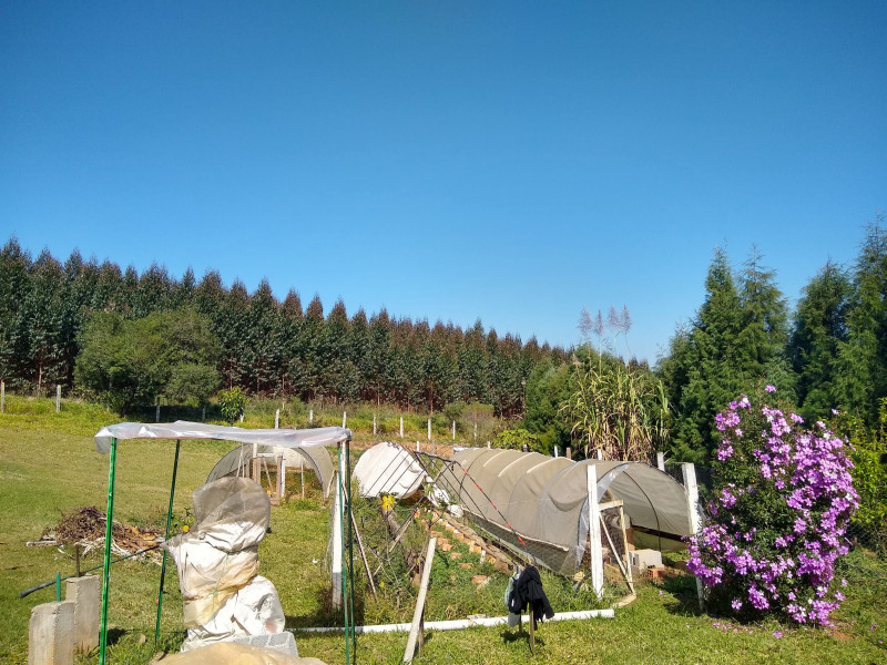 Chácara à venda Centro com 4539m² e 1 quarto por R$ 300.000 - 1937453315-img-20190729-110159435-hdr.jpg