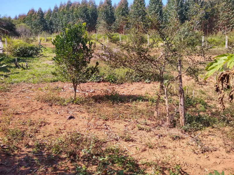 Chácara à venda Centro com 4539m² e 1 quarto por R$ 300.000 - 2019758646-img-20190729-110615413-hdr.jpg