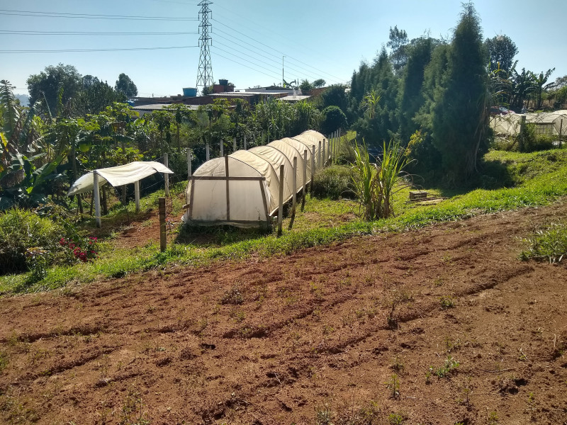 Chácara à venda Centro com 4539m² e 1 quarto por R$ 300.000 - 421595103-img-20190729-110338500-hdr.jpg