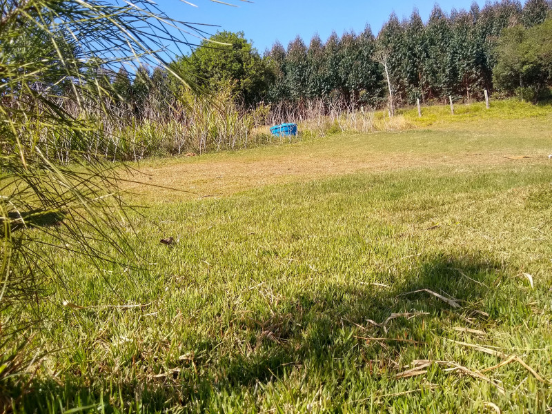 Chácara à venda Centro com 4539m² e 1 quarto por R$ 300.000 - 479817035-img-20190729-111106574-hdr.jpg