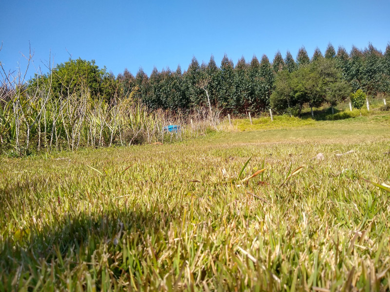 Chácara à venda Centro com 4539m² e 1 quarto por R$ 300.000 - 632297848-img-20190729-111138053-hdr.jpg