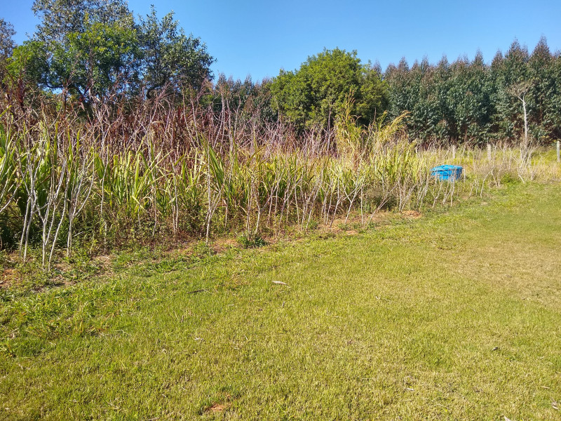 Chácara à venda Centro com 4539m² e 1 quarto por R$ 300.000 - 765788379-img-20190729-110029171-hdr.jpg