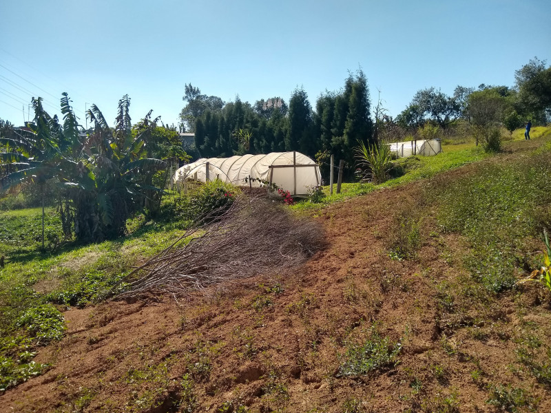 Chácara à venda Centro com 4539m² e 1 quarto por R$ 300.000 - 782416927-img-20190729-110423084-hdr.jpg
