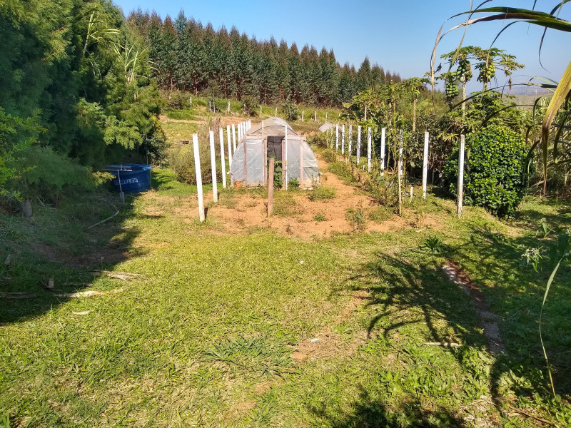 Chácara à venda Centro com 4539m² e 1 quarto por R$ 300.000 - 792899149-img-20190729-110220649-hdr.jpg