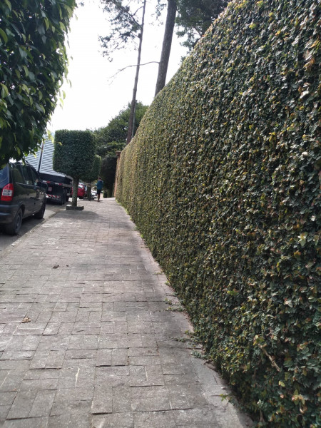 Chácara à venda Balneária  com 1250m² e 4 quartos por R$ 1.250.000 - 1998626011-whatsapp-image-2023-08-16-at-19.jpeg