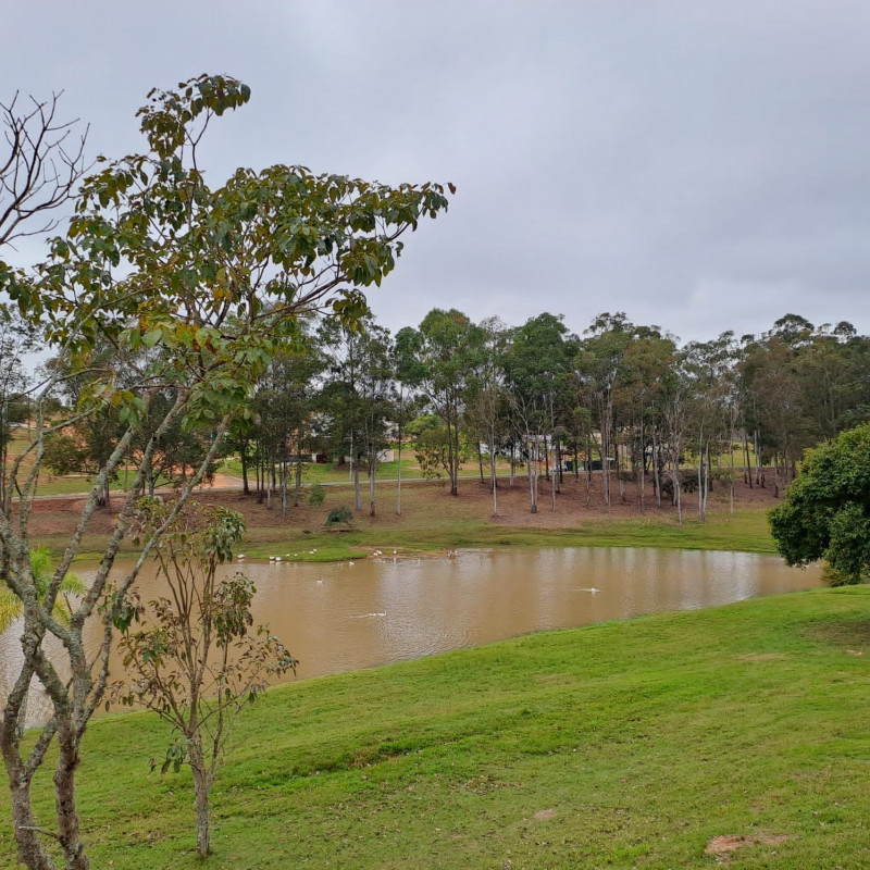 Terreno à venda Centro com 450m² e 1 quarto por R$ 75.000 - 1921501748-whatsapp-image-2023-08-04-at-17.jpeg