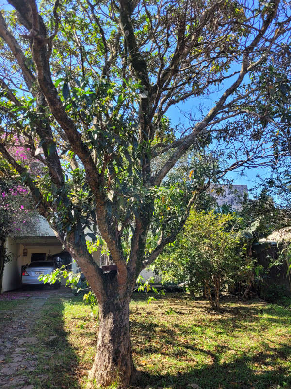 Casa à venda Parque Cocaia com 90m² e 2 quartos por R$ 500.000 - 2054406604-20230811-110344.jpg