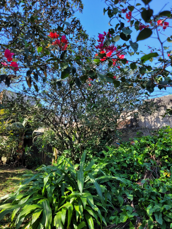 Casa à venda Parque Cocaia com 90m² e 2 quartos por R$ 500.000 - 35910113-20230811-110351.jpg