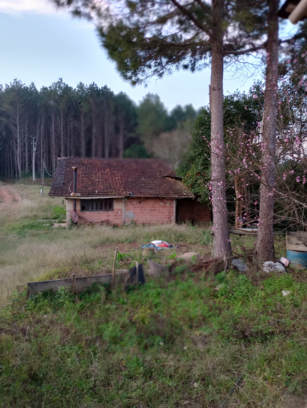 Chácara à venda Centro com 500m² e 2 quartos por R$ 270.000 - 1120692584-img-20230816-175011639-mf-portrait.jpg