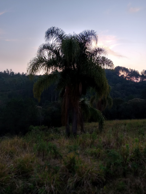 Chácara à venda Centro com 500m² e 2 quartos por R$ 270.000 - 1125280409-img-20230816-175646691-mf-portrait.jpg