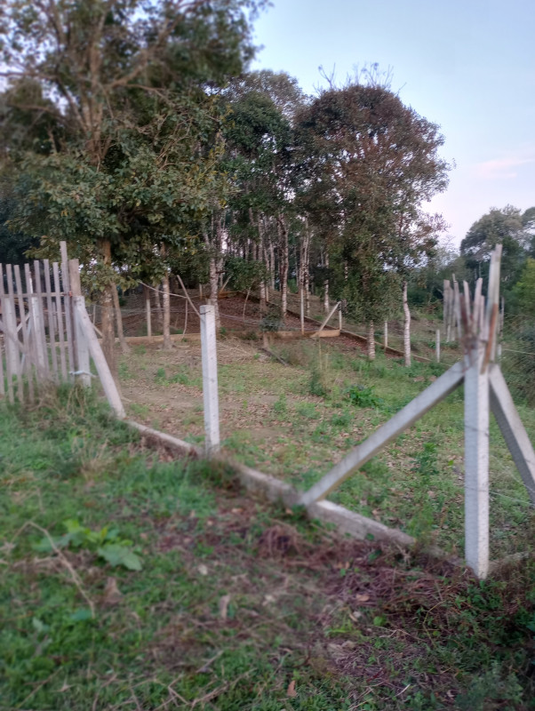 Chácara à venda Centro com 500m² e 2 quartos por R$ 270.000 - 1379295558-img-20230816-175526938-mf-portrait.jpg