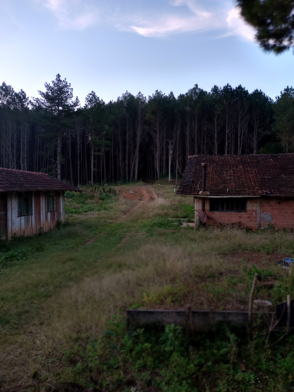 Chácara à venda Centro com 500m² e 2 quartos por R$ 270.000 - 1387269645-img-20230816-174943720-mf-portrait.jpg