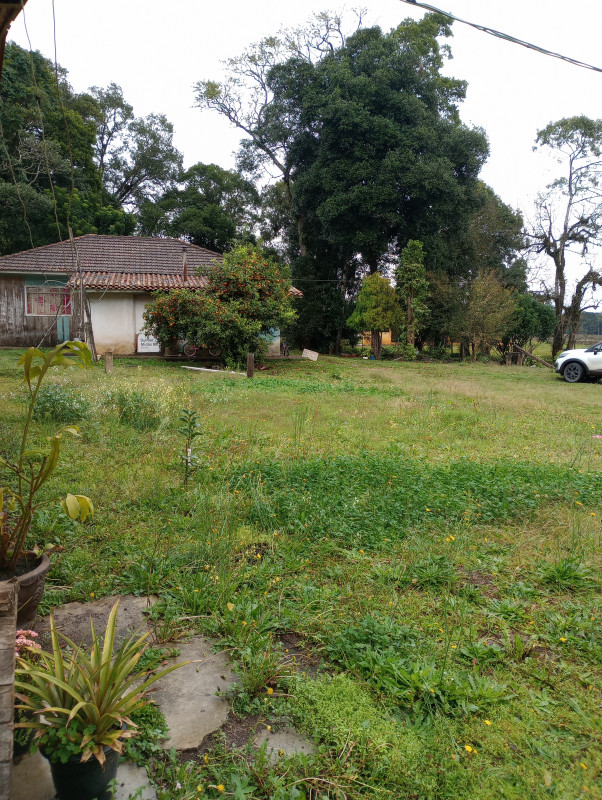 Chácara à venda Centro com 500m² e 2 quartos por R$ 270.000 - 1662267934-img-20230812-133945692.jpg