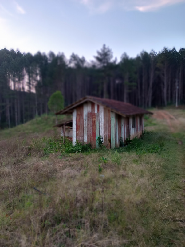 Chácara à venda Centro com 500m² e 2 quartos por R$ 270.000 - 1735279544-img-20230816-175018860-mf-portrait.jpg