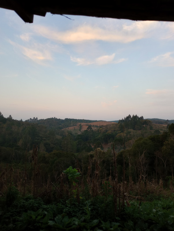 Chácara à venda Centro com 500m² e 2 quartos por R$ 270.000 - 1862355833-img-20230816-175113065-mf-portrait.jpg