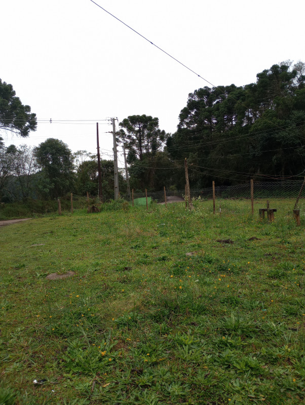 Chácara à venda Centro com 500m² e 2 quartos por R$ 270.000 - 1934875762-img-20230812-133907965.jpg