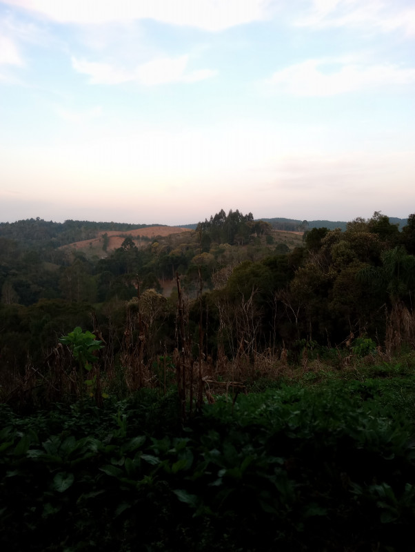 Chácara à venda Centro com 500m² e 2 quartos por R$ 270.000 - 594115014-img-20230816-175110527-mf-portrait.jpg