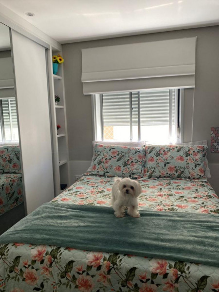 Apartamento à venda Interlagos com 65m² e 3 quartos por R$ 500.000 - 1900937525-7a427801-f55f-4906-ac79-64da96ce6fd8.jpeg