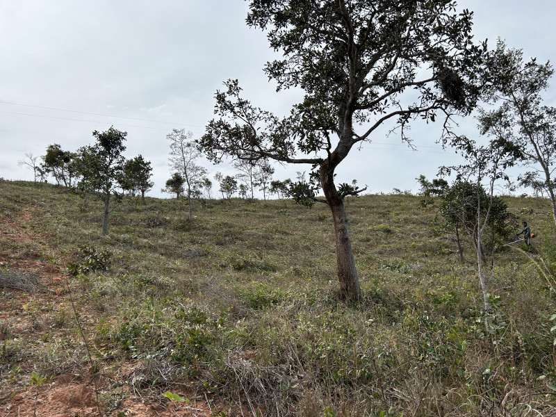 Sítio à venda Centro com 32m² e 1 quarto por R$ 50.000 - 1704186576-terra-7.jpeg