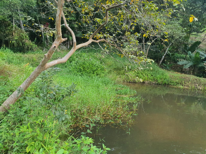 Sítio à venda Centro  com 13233777m² e 1 quarto por R$ 600.000 - 1143311014-whatsapp-image-2023-08-18-at-21.jpeg