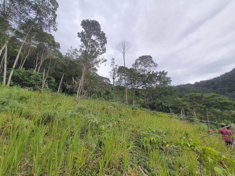 Sítio à venda Centro  com 13233777m² e 1 quarto por R$ 600.000 - 1216297324-whatsapp-image-2023-08-18-at-21.jpeg