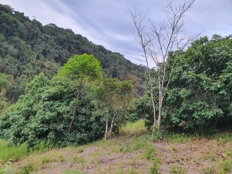 Sítio à venda Centro  com 13233777m² e 1 quarto por R$ 600.000 - 1249340578-whatsapp-image-2023-08-18-at-21.jpeg