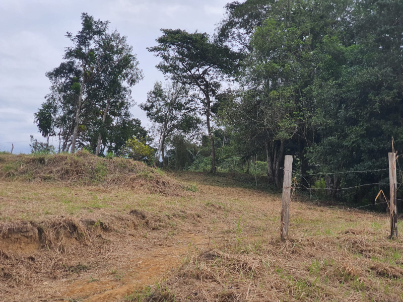 Sítio à venda Centro  com 13233777m² e 1 quarto por R$ 600.000 - 1266287600-whatsapp-image-2023-08-18-at-21.jpeg